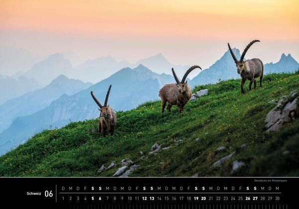 Produktbild: Schweiz Premiumkalender 2027