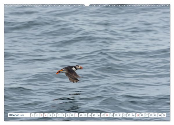 Produktbild: Lofoten Vester&aring;len (hochwertiger Premium Wandkalender 2026 DIN A2 quer), Kunstdruck in Hochglanz