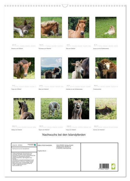 Produktbild: Nachwuchs bei den Islandpferden (Wandkalender 2026 DIN A2 hoch), CALVENDO Monatskalender