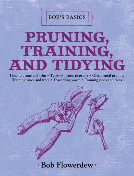 Produktbild: Pruning, Training, and Tidying