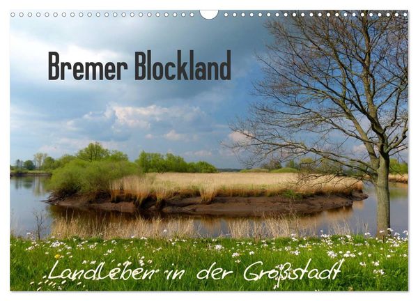 Bremer Blockland - Landleben in der Großstadt (Wandkalender 2024 DIN A3 quer), CALVENDO Monatskalender