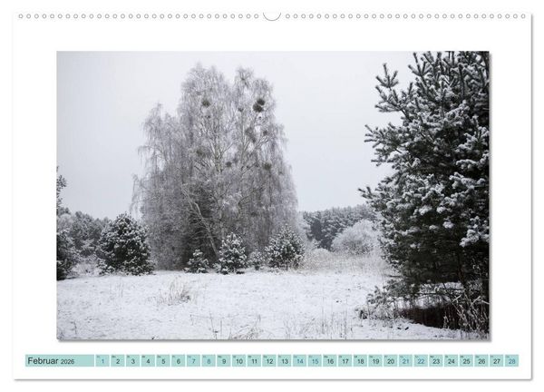 Produktbild: Augenblicke im M&uuml;ritz Nationalpark (Wandkalender 2026 DIN A2 quer), CALVENDO Monatskalender