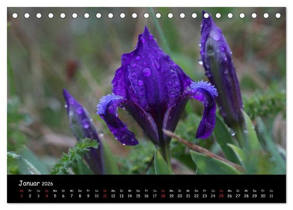 Produktbild: Naturjuwelen - Neusiedler See (Tischkalender 2026 DIN A5 quer), CALVENDO Monatskalender