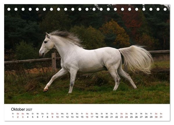 Produktbild: PFERDE - Zwischen Himmel, Erde und Hufschlag (Tischkalender 2027 DIN A5 quer), CALVENDO Monatskalender
