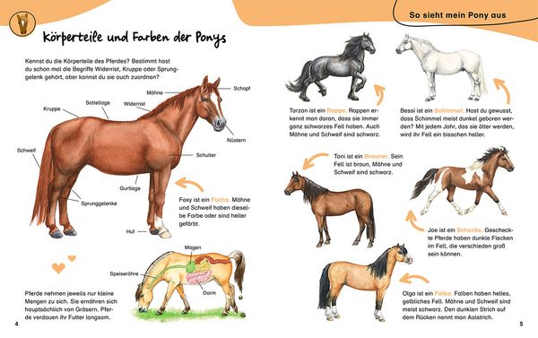Produktbild: Mein erstes Pferdebuch