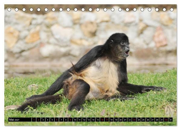 Produktbild: Sri Lanka (Tischkalender 2027 DIN A5 quer), CALVENDO Monatskalender