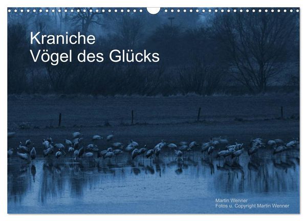 Produktbild: Kraniche (Wandkalender 2026 DIN A3 quer), CALVENDO Monatskalender