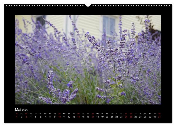 Produktbild: Nova Scotia & Prince Edward Island (Wandkalender 2026 DIN A2 quer), CALVENDO Monatskalender