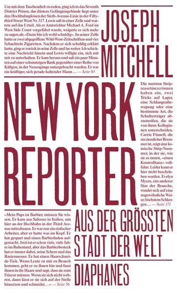 Produktbild: New York Reporter
