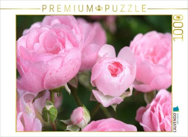 Produktbild: CALVENDO Puzzle Rose 'The Fairy' | 1000 Teile Lege-Gr&ouml;&szlig;e 64x48cm Foto-Puzzle f&uuml;r gl&uuml;ckliche Stunden