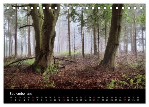 Produktbild: Waldkalender (Tischkalender 2026 DIN A5 quer), CALVENDO Monatskalender