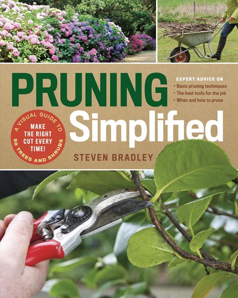 Produktbild: Pruning Simplified