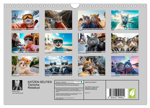 Produktbild: KATZEN-SELFIES Tierische Reiselust (Wandkalender 2026 DIN A4 quer), CALVENDO Monatskalender