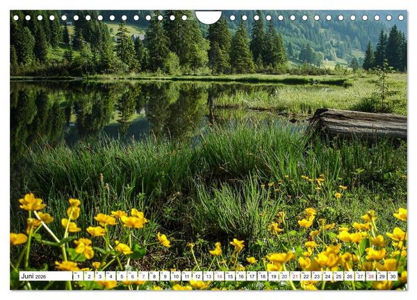 Produktbild: Geliebte Steiermark im Herzen &Ouml;sterreichs (Wandkalender 2026 DIN A4 quer), CALVENDO Monatskalender