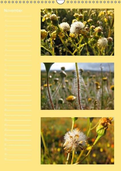 Produktbild: Zauberwelt der Blumen - Eiskristalle & Wasserperlen / Geburtstagskalender (Wandkalender immerw&auml;hrend DIN A3 hoch)