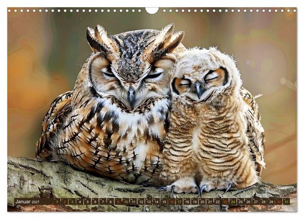 Produktbild: Tierkinder der L&uuml;fte - Vogelwelt (Wandkalender 2027 DIN A3 quer), CALVENDO Monatskalender