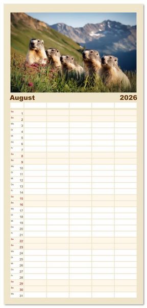 Produktbild: Familienplaner 2026 - Alpenpl&uuml;sch - Mit Murmeltieren durchs Jahr mit 5 Spalten (Wandkalender, 21 x 45 cm) CALVENDO