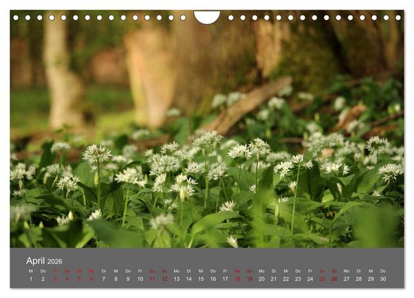 Produktbild: Wahner Heide - Aussichten und Begegnungen (Wandkalender 2026 DIN A4 quer), CALVENDO Monatskalender