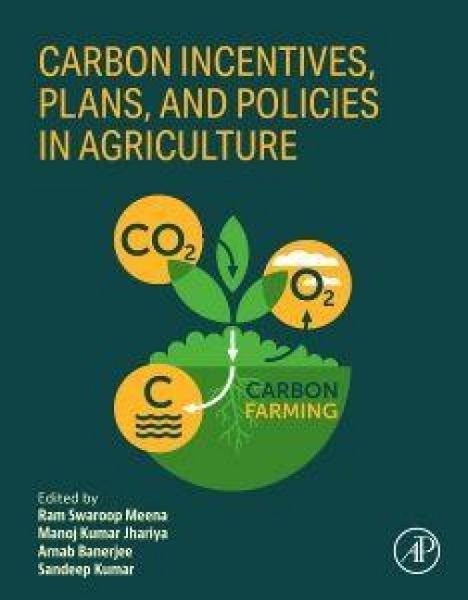 Produktbild: Carbon Incentives, Plans, and Policies in Agriculture