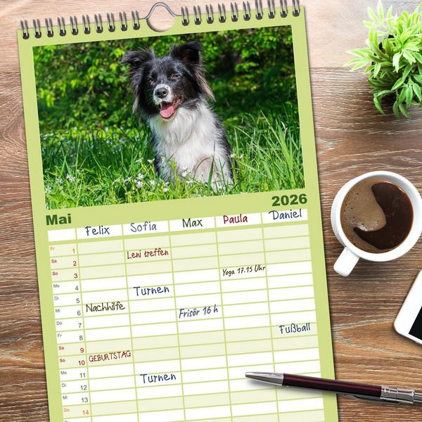 Produktbild: Familienplaner 2026 - Border Collie - Das Universalgenie unter den Hunden mit 5 Spalten (Wandkalender, 21 x 45 cm) CALVENDO
