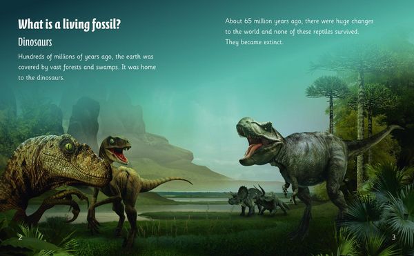 Produktbild: Big Cat Phonics - Living Fossi