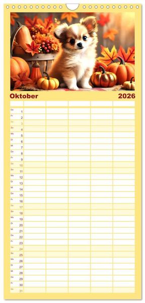 Produktbild: Familienplaner 2026 - Chihuahua-Welpen &ndash; Kleine Wunder mit 5 Spalten (Wandkalender, 21 x 45 cm) CALVENDO
