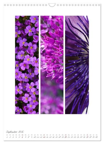 Produktbild: Natur Farben Dreiklang (Wandkalender 2026 DIN A3 hoch), CALVENDO Monatskalender