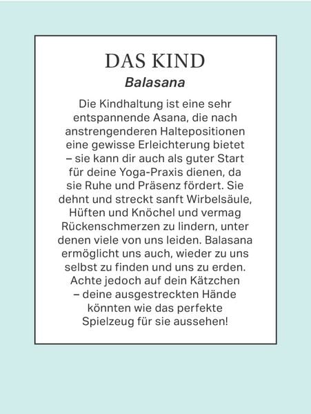 Produktbild: Yoga mit Katze