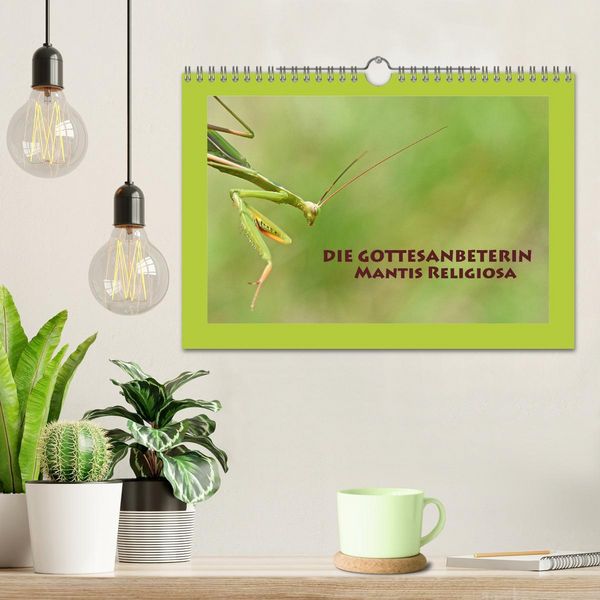Produktbild: Die Gottesanbeterin Mantis Religiosa (Wandkalender 2026 DIN A4 quer), CALVENDO Monatskalender