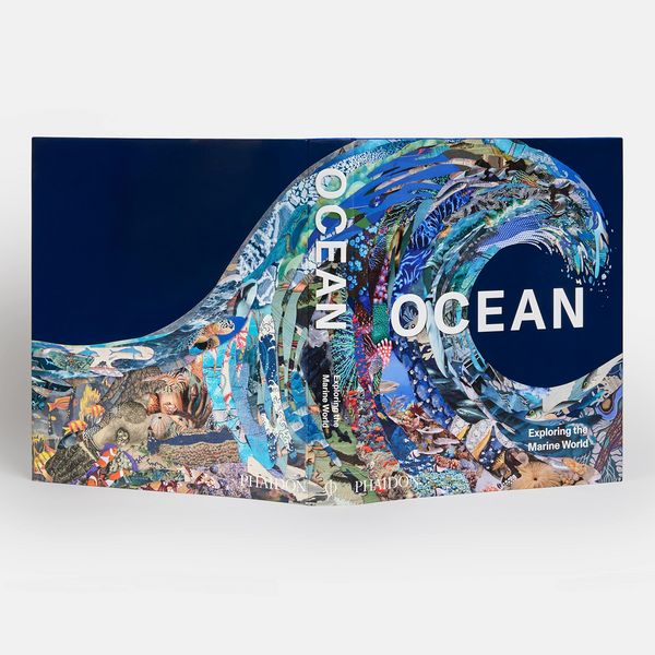 Produktbild: Ocean, Exploring the Marine World