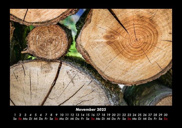 Produktbild: B&auml;ume 2025 Fotokalender DIN A3