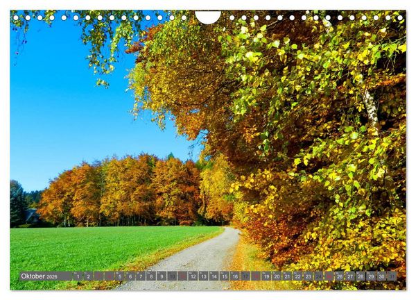Produktbild: Wege finden immer ein Ziel (Wandkalender 2026 DIN A4 quer), CALVENDO Monatskalender