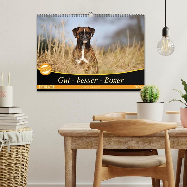 Produktbild: Gut - besser - Boxer (Wandkalender 2026 DIN A3 quer), CALVENDO Monatskalender
