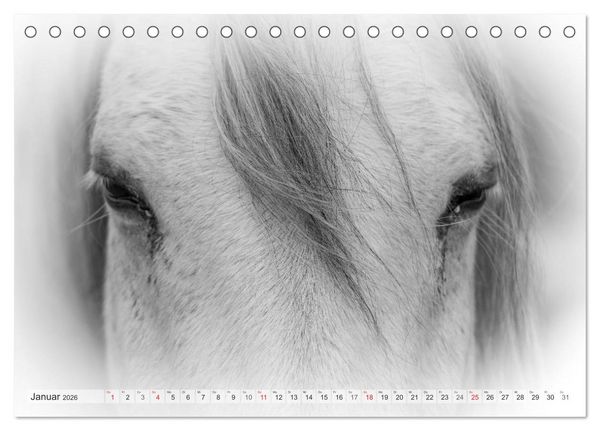 Produktbild: Emotionale Momente: Wei&szlig;e Pferde in schwarzwei&szlig;. (Tischkalender 2026 DIN A5 quer), CALVENDO Monatskalender