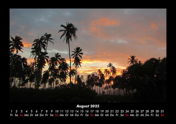 Produktbild: Palmentraum 2025 Fotokalender DIN A3