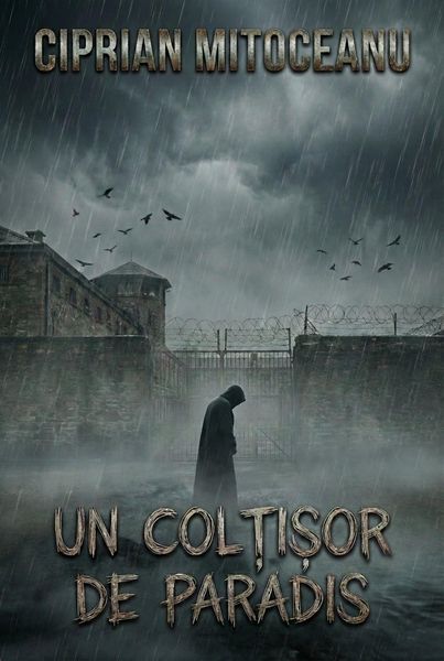 Produktbild: Un Col&iquest;i&iquest;or de Paradis (Dark Tales Of Sorrow And Despair, #11)
