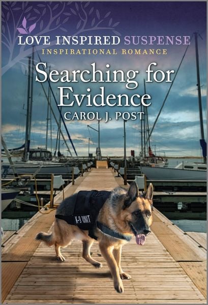 Produktbild: Searching for Evidence