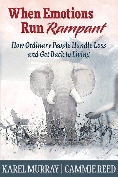 Produktbild: When Emotions Run Rampant