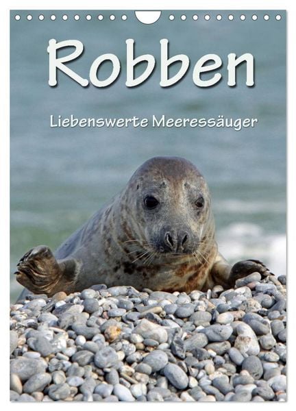 Produktbild: Robben (Wandkalender 2026 DIN A4 hoch), CALVENDO Monatskalender