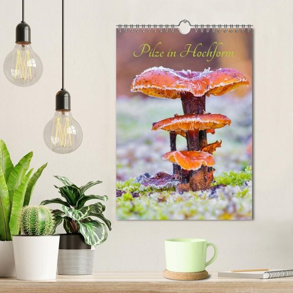 Produktbild: Pilze in Hochform (Wandkalender 2026 DIN A4 hoch), CALVENDO Monatskalender