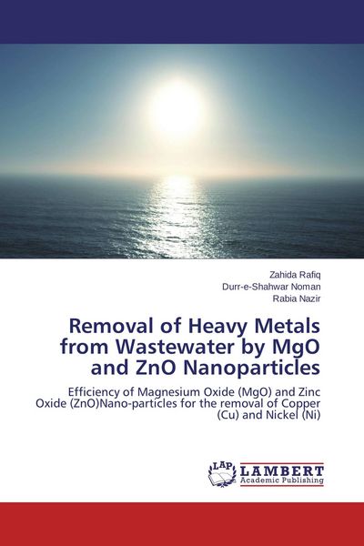 Produktbild: Removal of Heavy Metals from Wastewater by MgO and ZnO Nanoparticles
