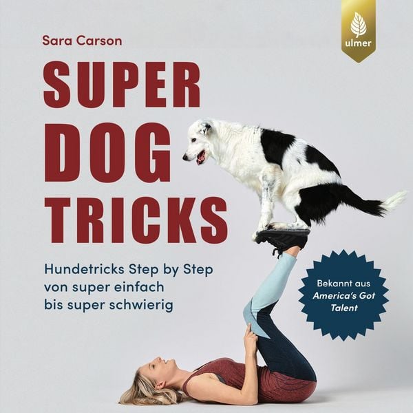 Produktbild: Super Dog Tricks