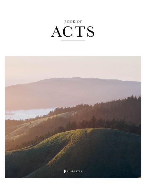 Produktbild: Book of Acts (Sc, Nlt)