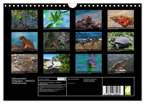 Produktbild: Naturparadies Galapagos - UNESCO Weltkulturerbe (Wandkalender 2026 DIN A4 quer), CALVENDO Monatskalender