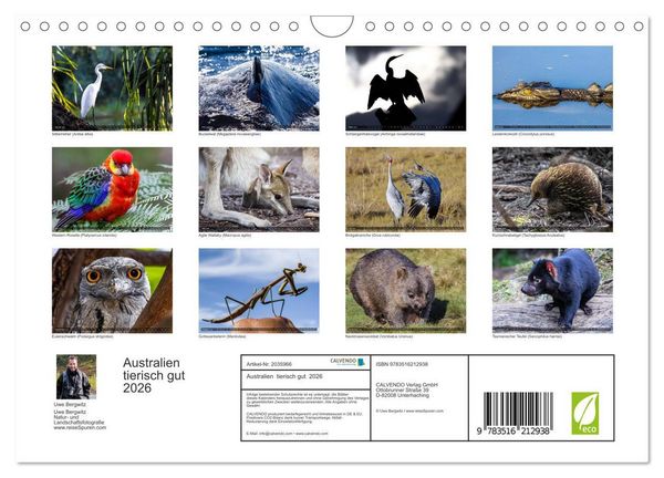 Produktbild: Australien tierisch gut 2026 (Wandkalender 2026 DIN A4 quer), CALVENDO Monatskalender