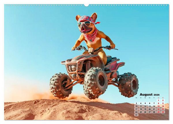Produktbild: S&uuml;&szlig;e Hunde cruisen - durch das Jahr mit dem Hundekalender (hochwertiger Premium Wandkalender 2026 DIN A2 quer), Kunstdruck in Hochglanz