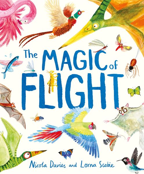 Produktbild: The Magic of Flight