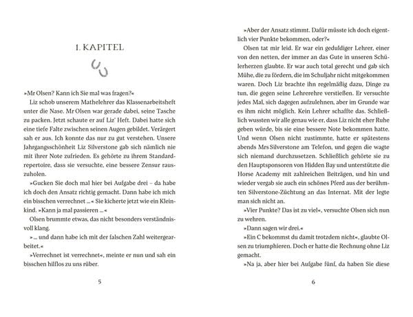 Produktbild: Horse Academy &ndash; St&uuml;rmische Zeiten