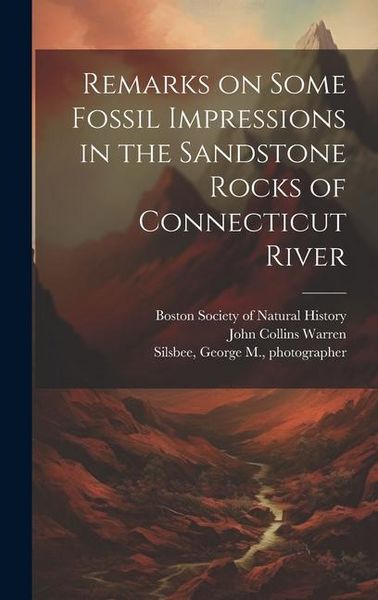 Produktbild: Remarks on Some Fossil Impressions in the Sandstone Rocks of Connecticut River