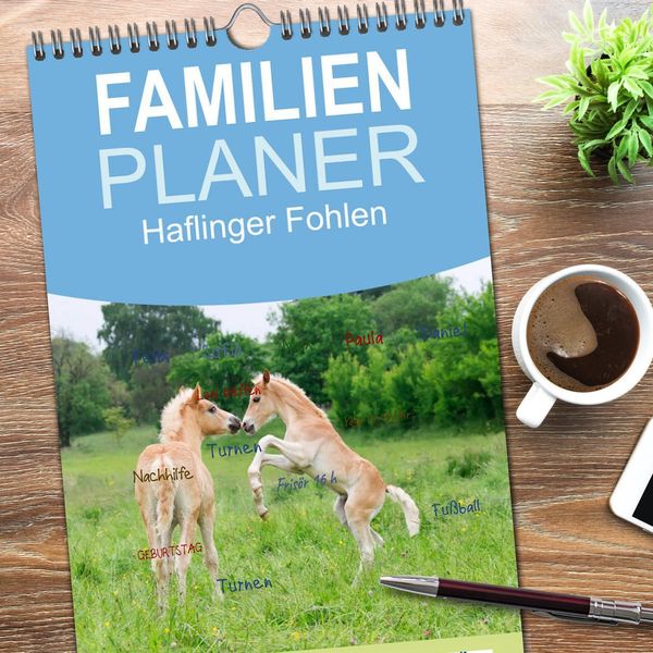 Produktbild: Familienplaner 2026 - Haflinger Fohlen mit 5 Spalten (Wandkalender, 21 x 45 cm) CALVENDO